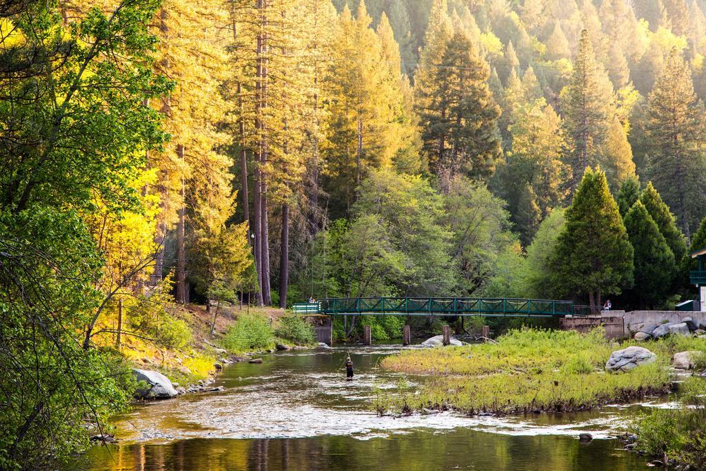 Yosemite Lakes River Yurt 21 Hotel Harden Flat Exterior photo